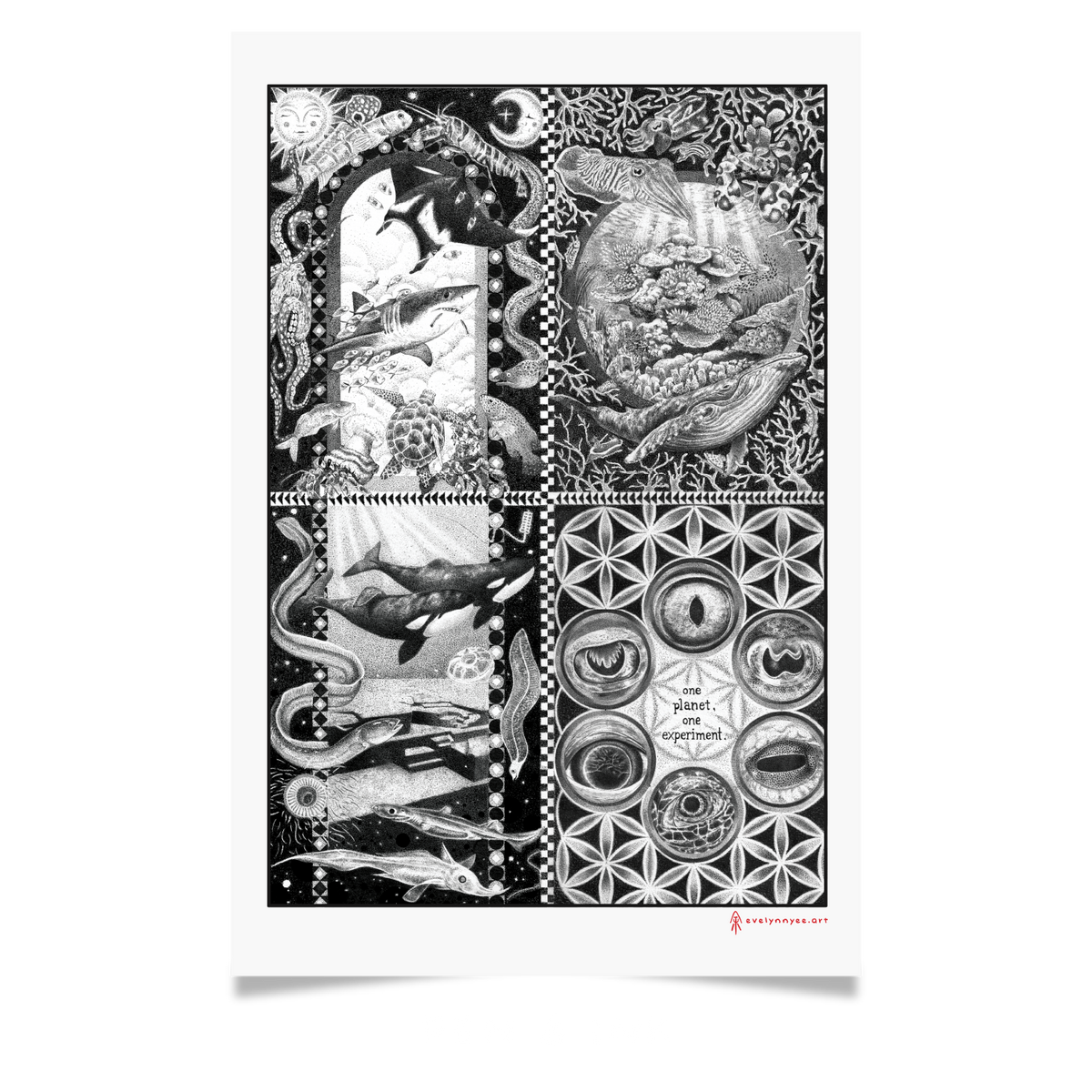Pen & Ink