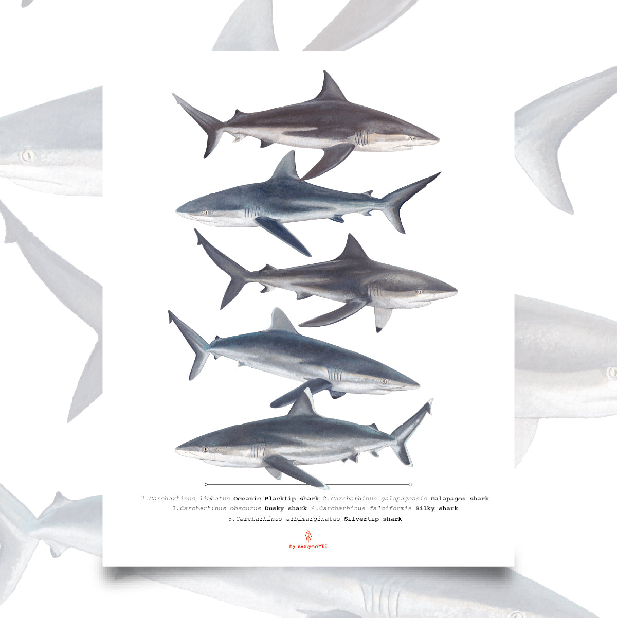 Scientific Illustrations