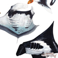 Oceanic Manta Rays (Vertical)